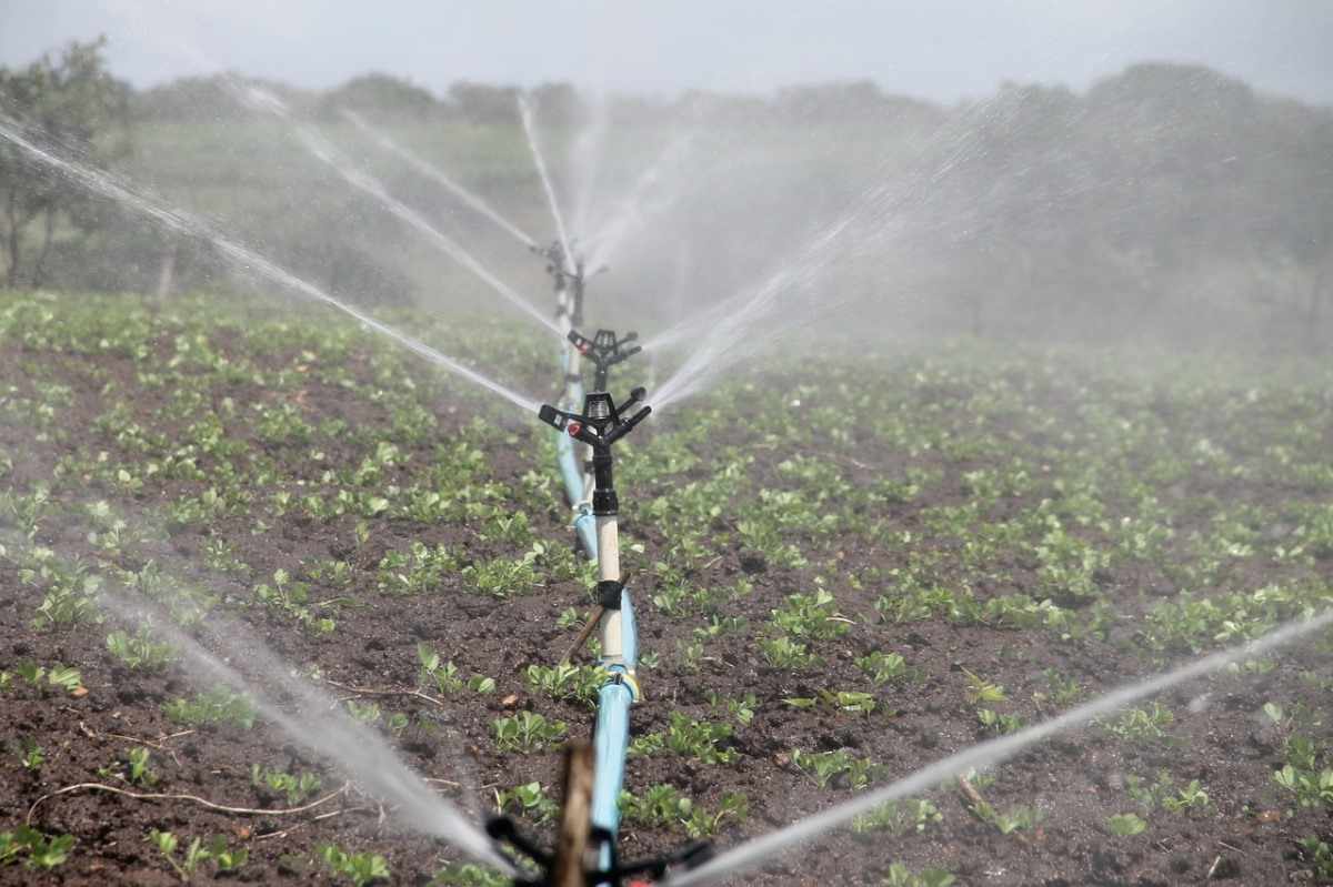 Sprinkler Irrigation in Africa