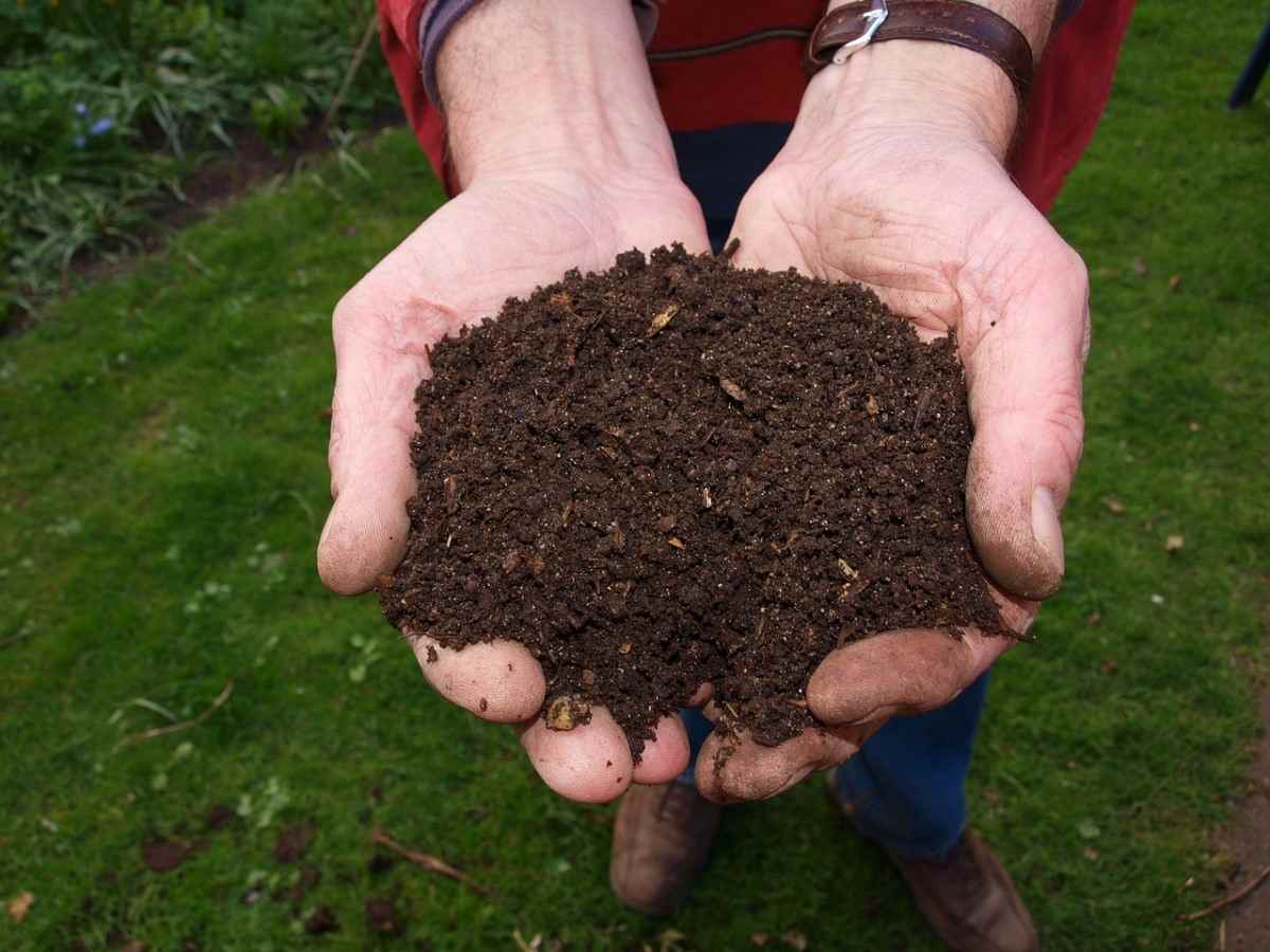 Process of how to make compost at home