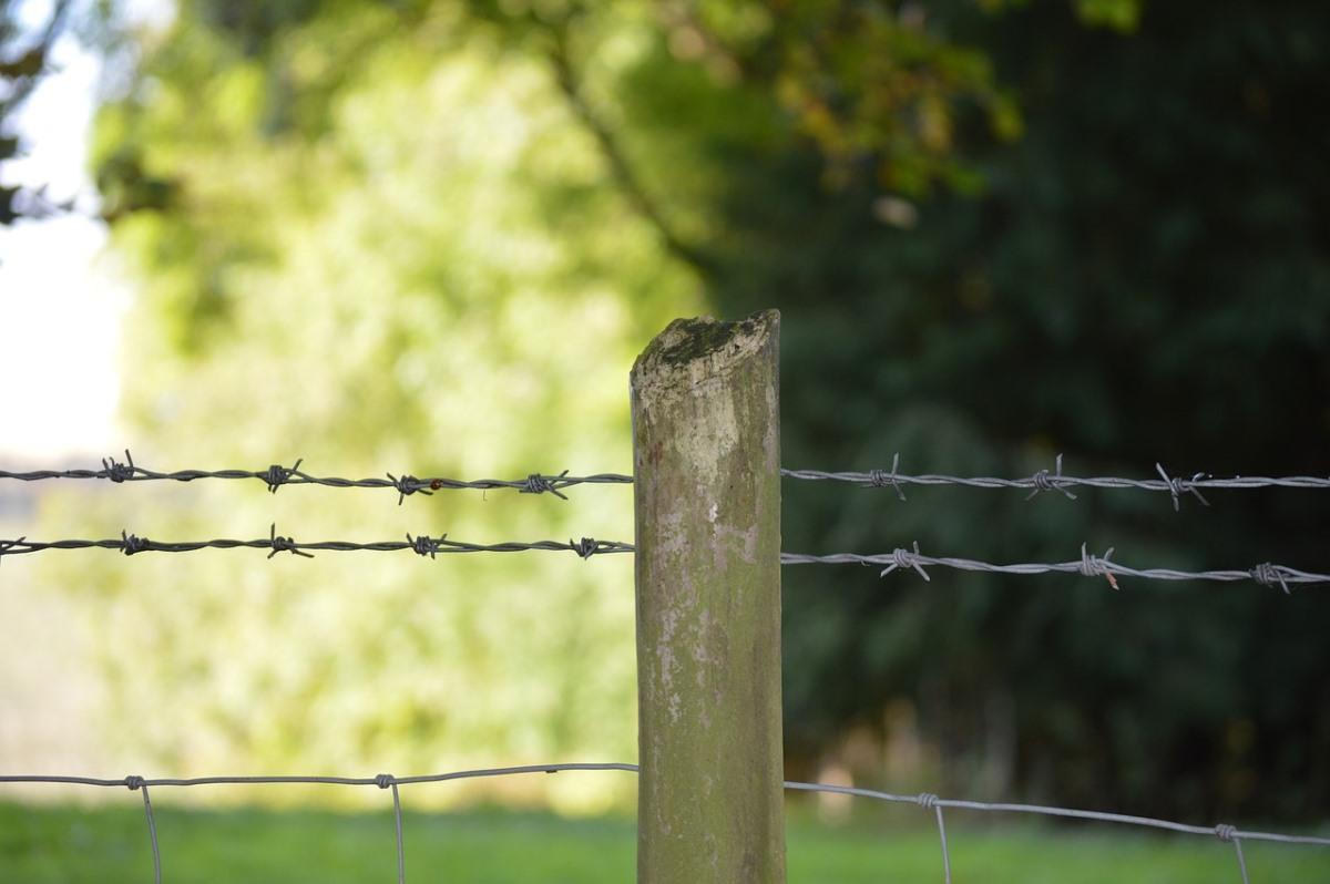 Barbed wire fencing  