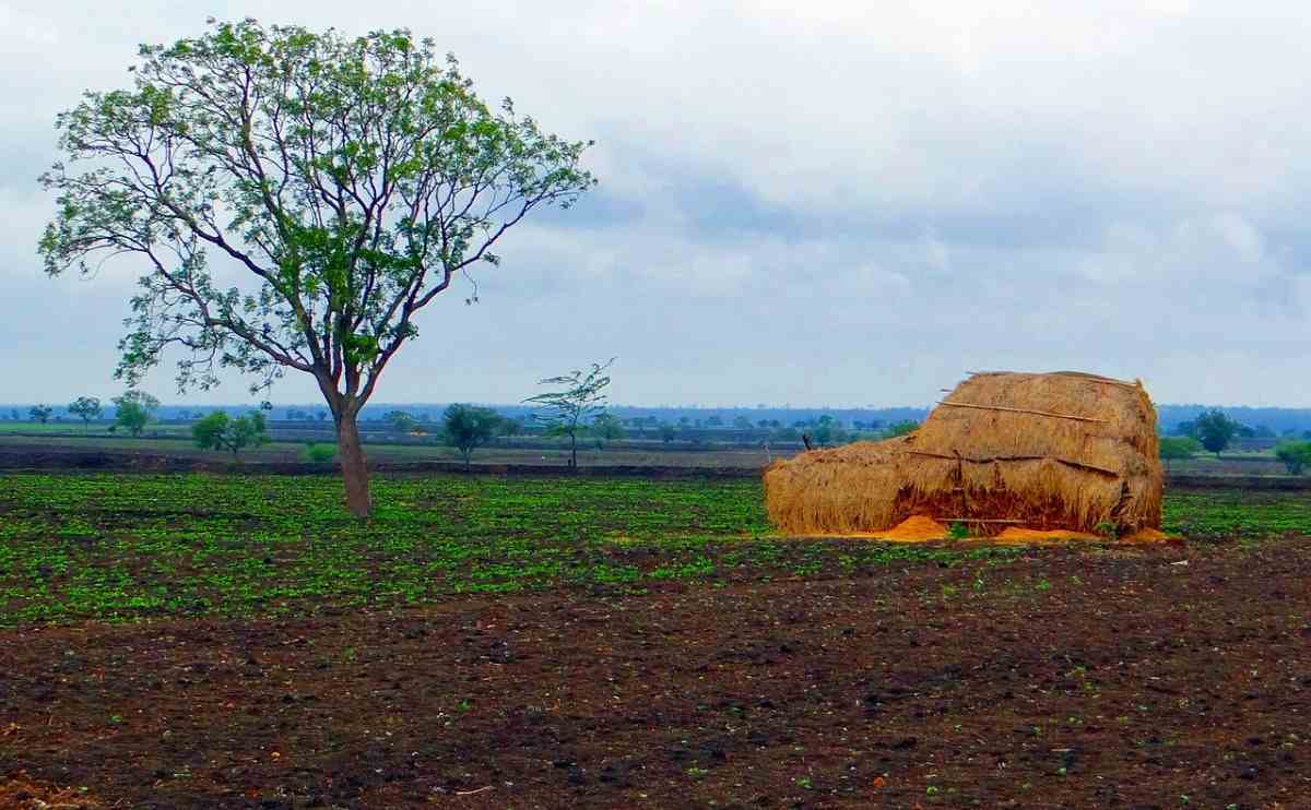 Finding Agricultural Land in Maharashtra