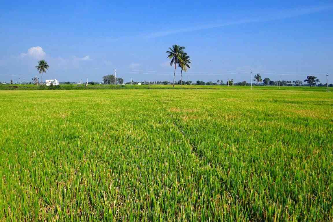 Agriculture Land Registration Process In India