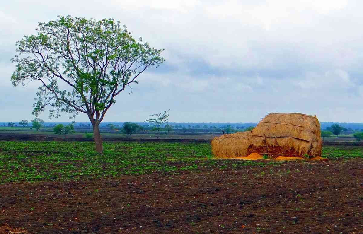 Points to Consider when buying agriculture land in Tamil Nadu