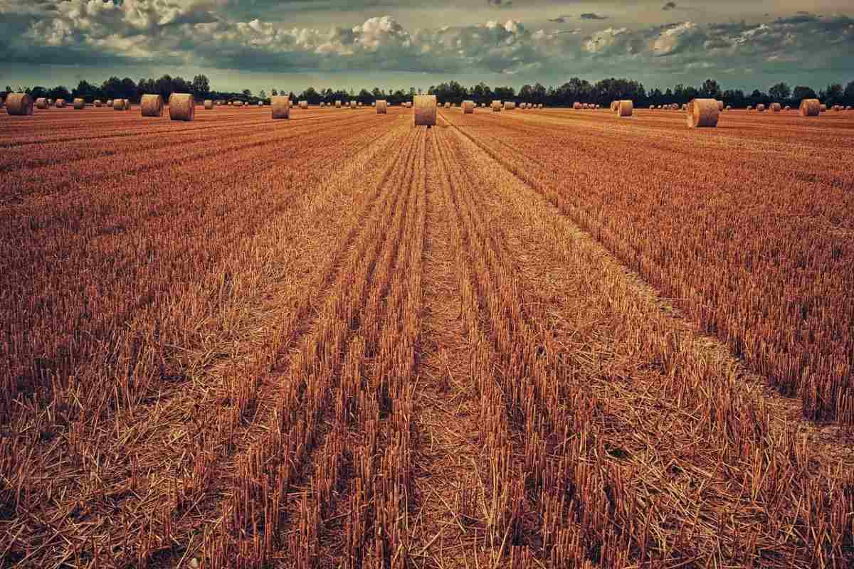 How To Buy Agricultural Land In Australia