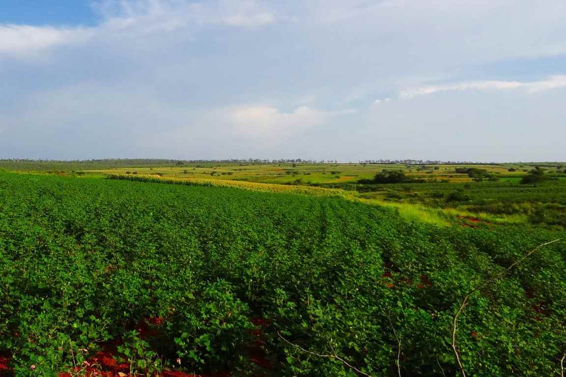 Farm Land Registration in India