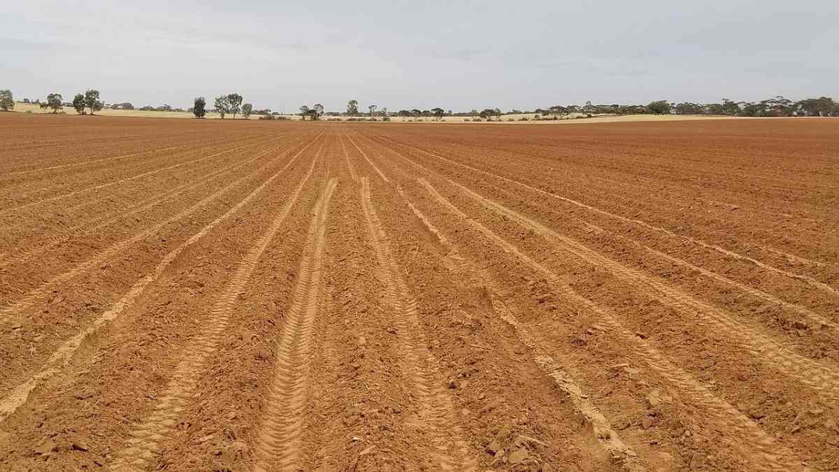 Tips for buying agricultural land in  Australia