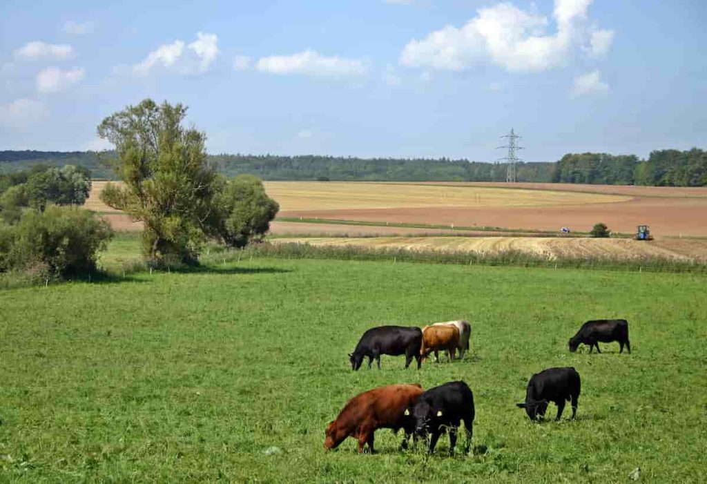 How to Buy Agriculture Land in Germany