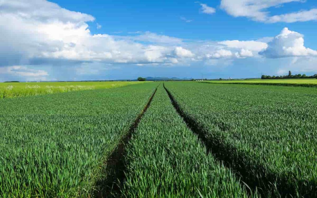 Tips for buying agricultural land in Germany
