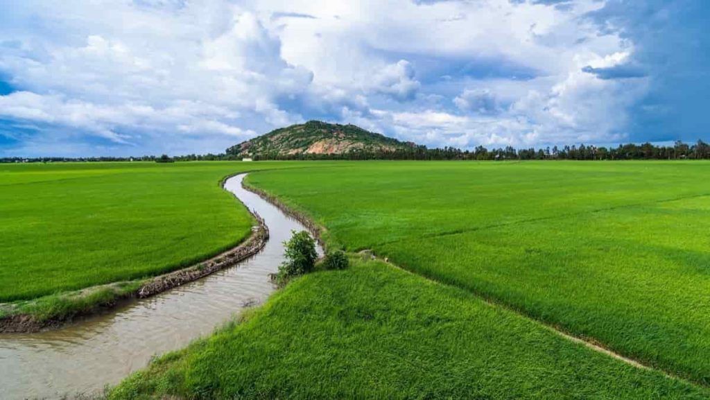 How to Buy Agricultural Land in Vietnam