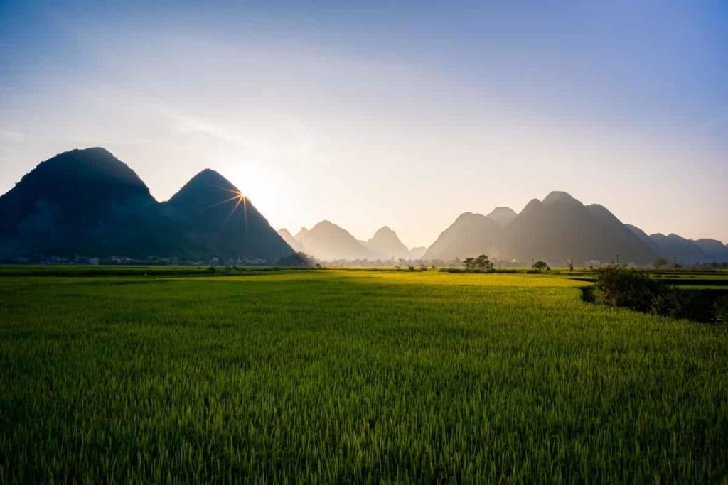 Agricultural land use in Vietnam 