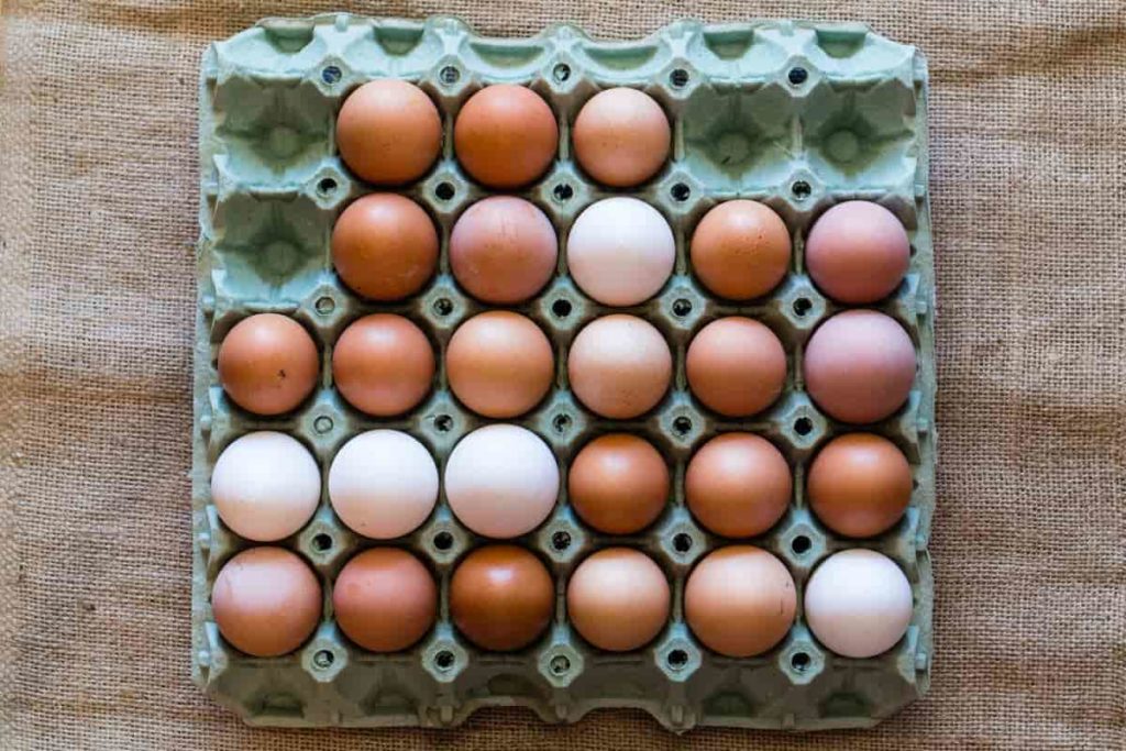 Egg tray for poultry