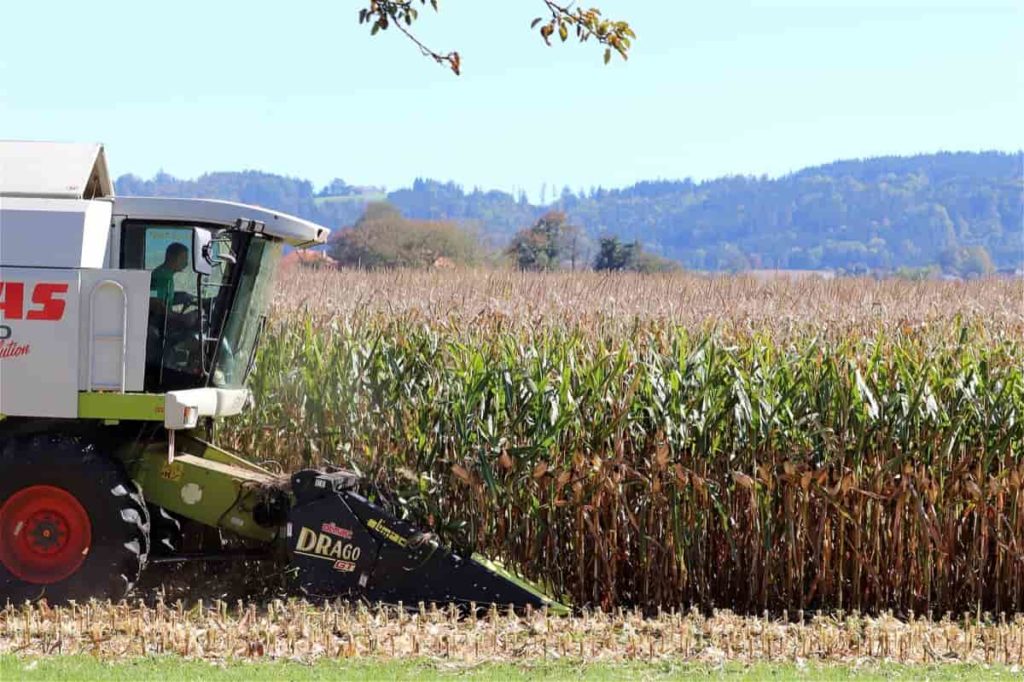 Corn Harvesting Machine