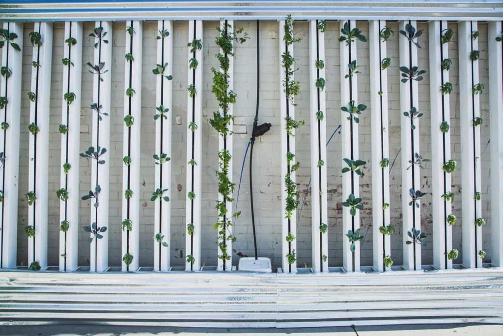 Vertical Farming Scheme from Government
