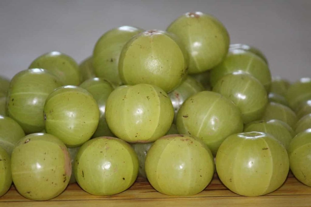 Top 15 Steps to Boost Indian Gooseberry/Amla Yield