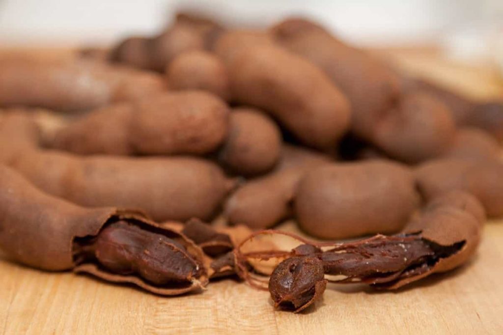 Steps to Boost Tamarind Fruit Yield