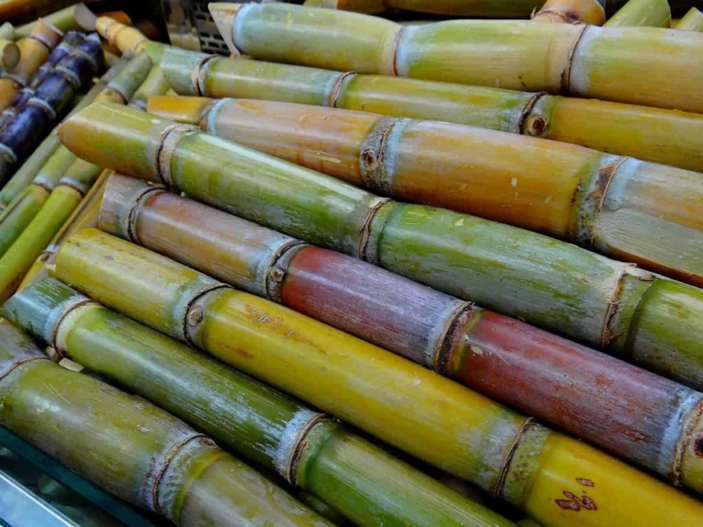 Sugarcane Yield1