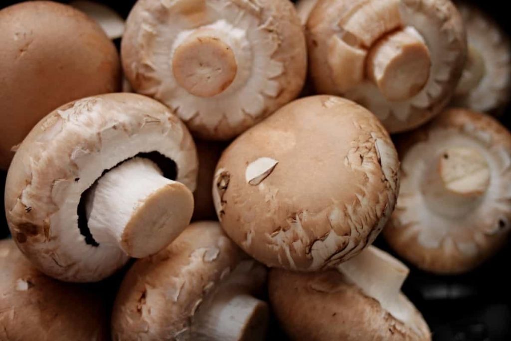 Mushroom Market