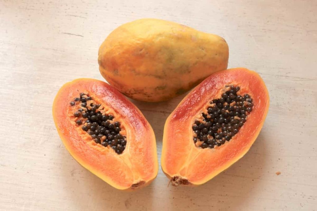 How to Grow Papaya from Seeds at Home