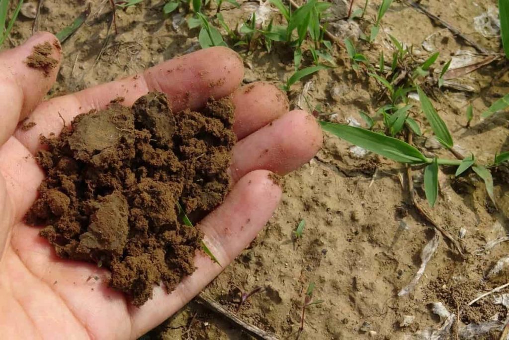 Soil composting in organic farming