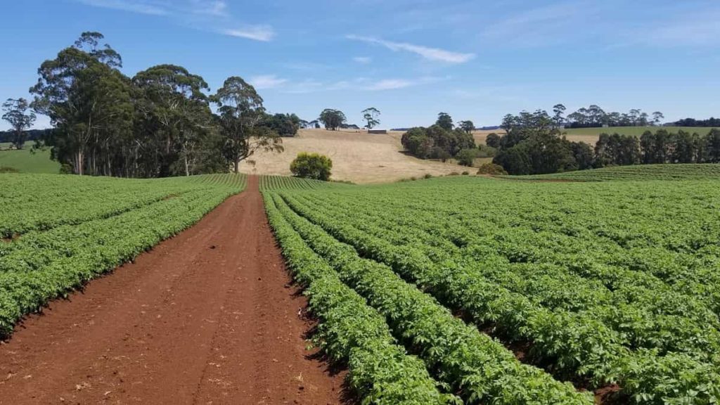 Agriculture Farming in Australia