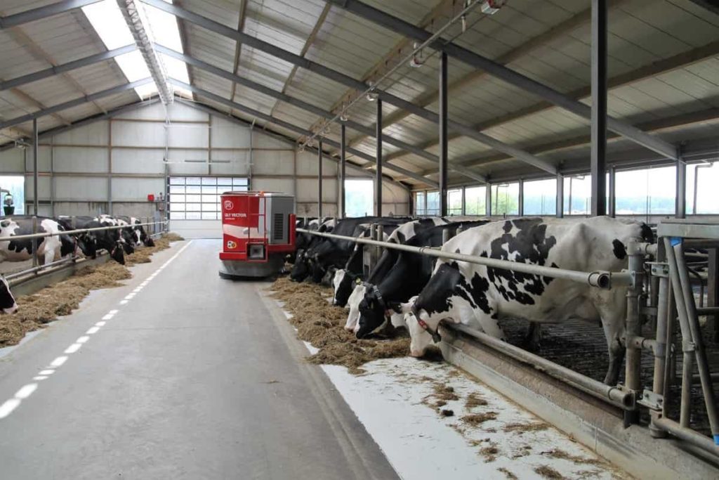 Dairy Farming Setup