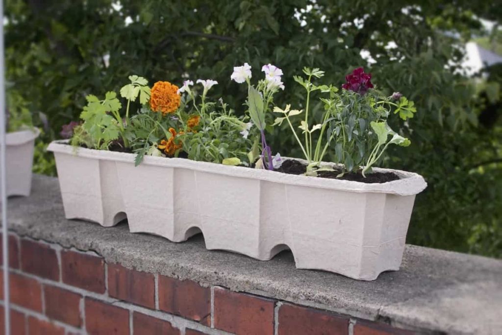 Organic Container Gardening1