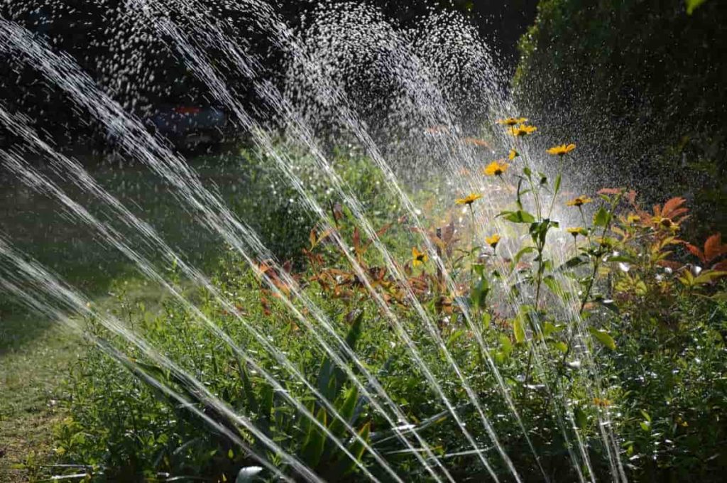 Watering Garden
