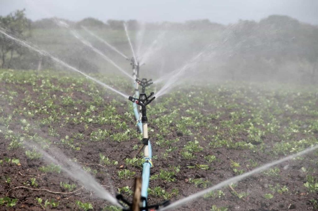 Key Rules for Effective Irrigation Management