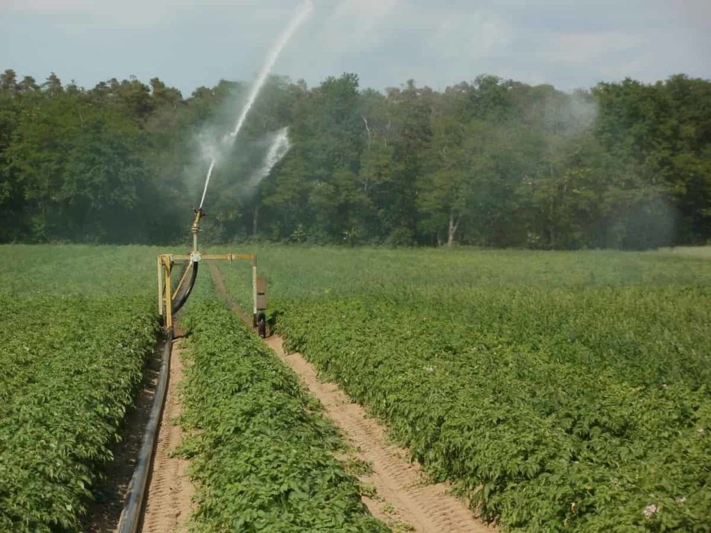 Irrigation in Farming