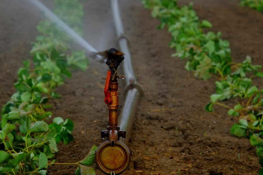 Irrigation method
