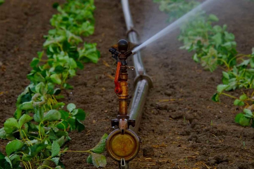 Best Irrigation for Farming
