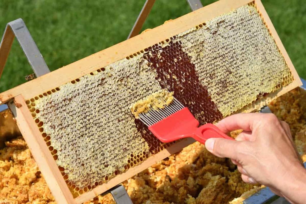 Honey Processing