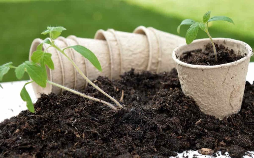 Preparing soil for container gardening