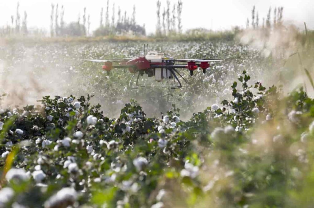 Drones in Cotton Farming