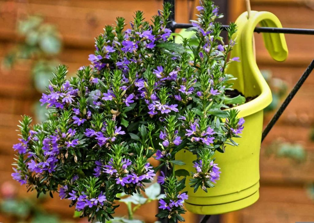 Garden flower pot