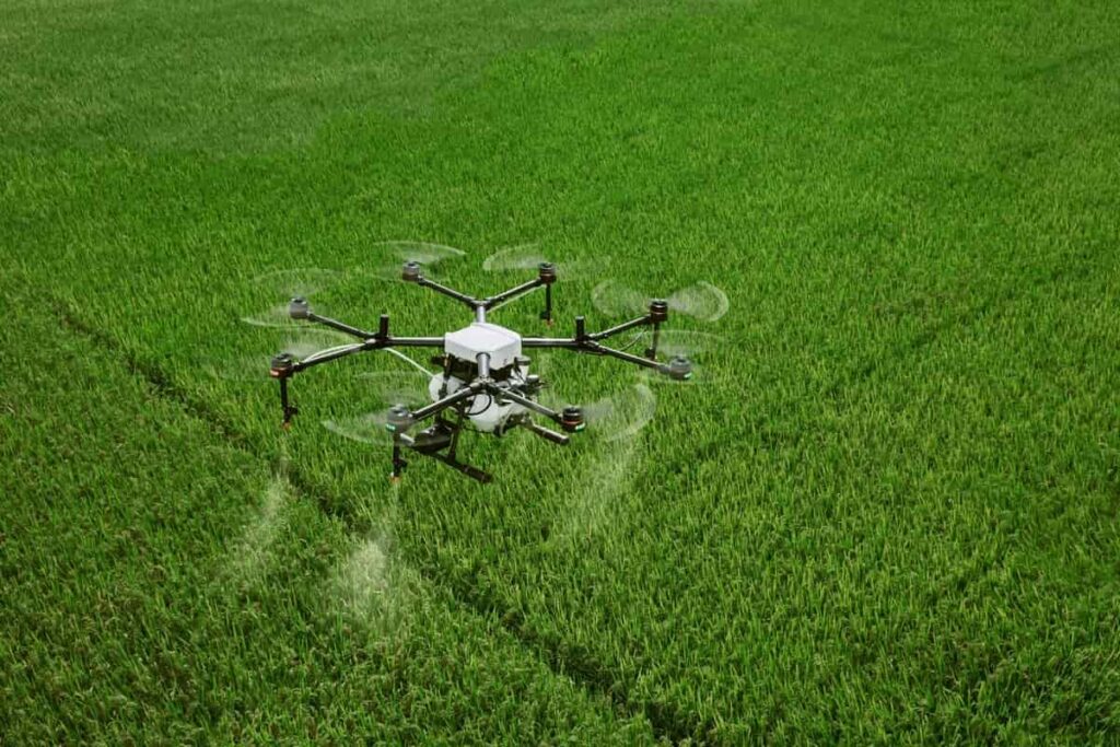 USe of Drones in Paddy Farming