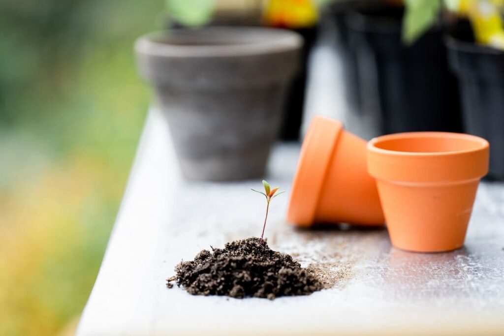 How to Make Potting Soil at Home 4