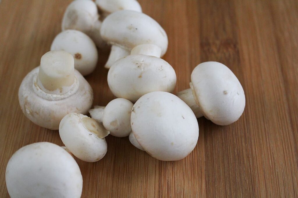 White Mushroom Farming