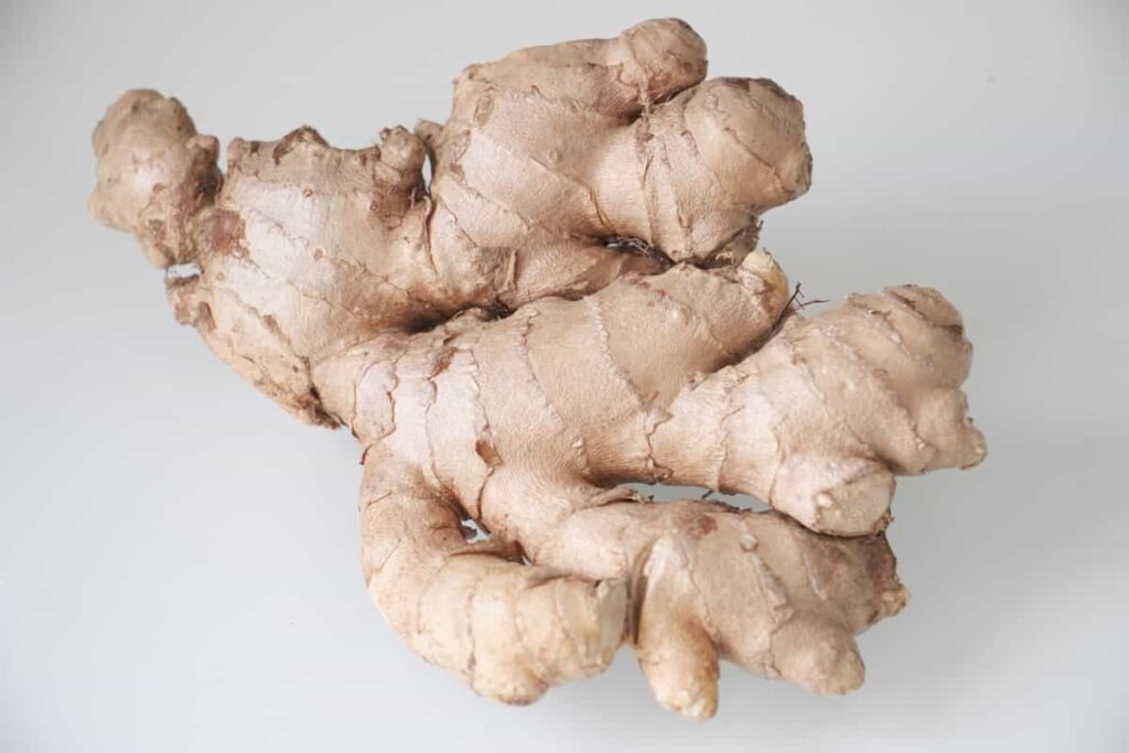 How to Grow Ginger in the USA5