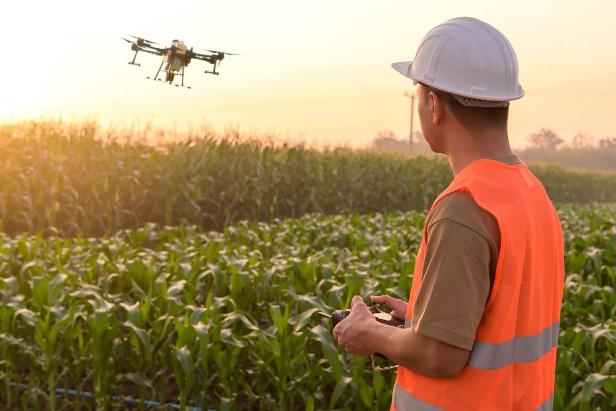 Engineer Controlling Drone Spraying Fertilizer