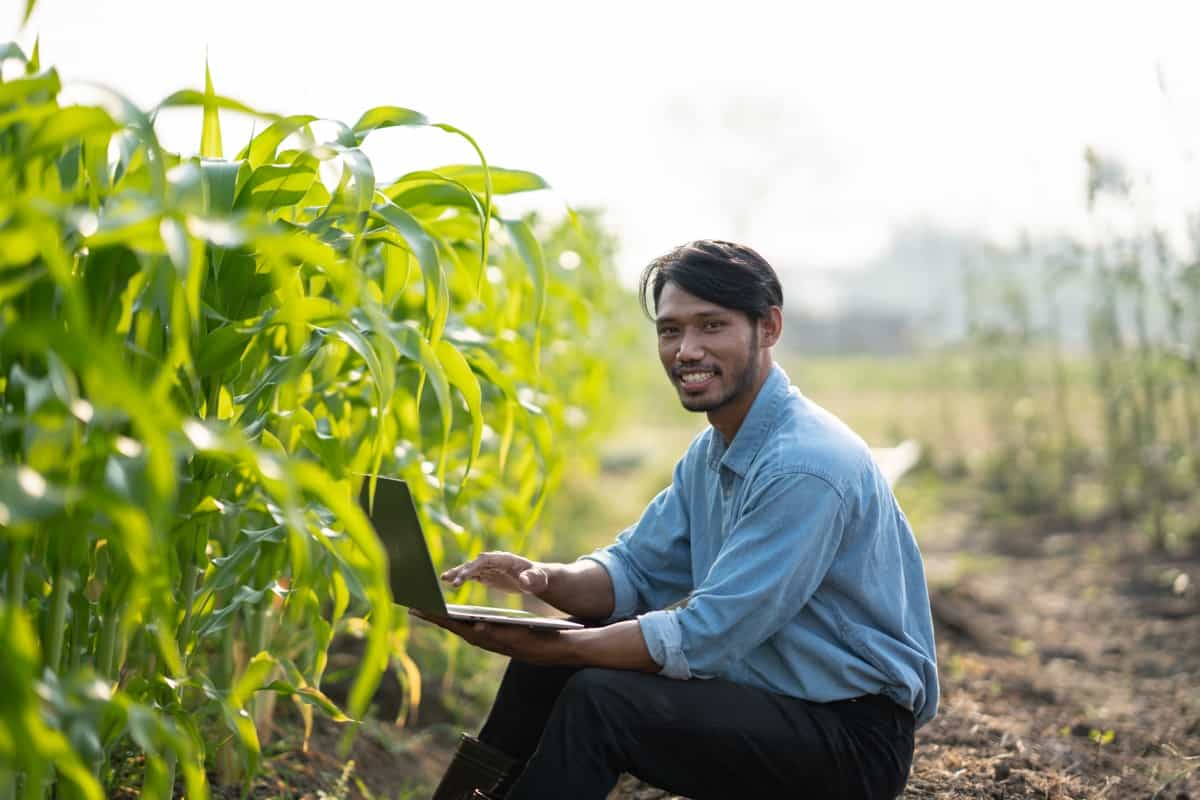 farmer working on his laptop while inspecting the process of the harvesting in his fram