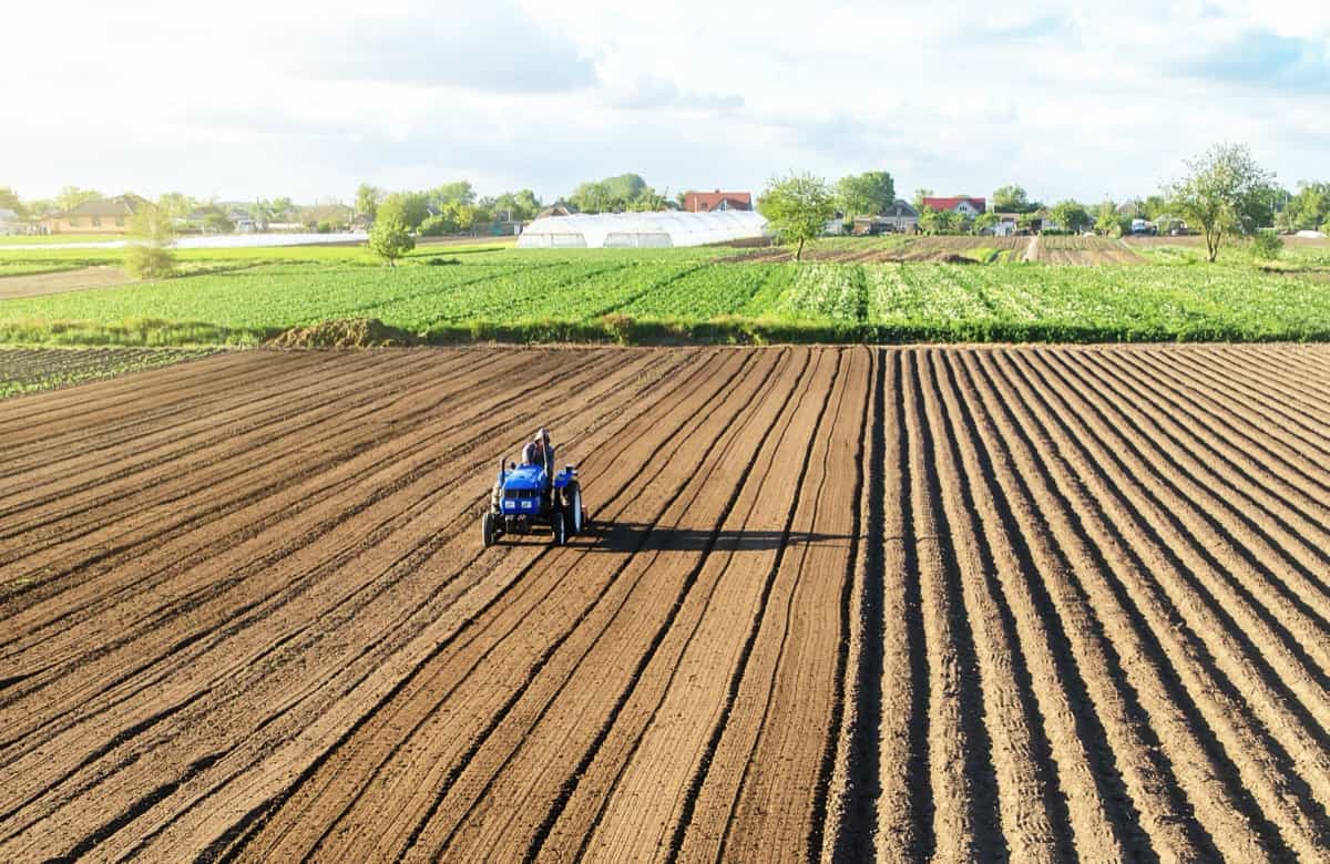 Farmer on a tractor cultivating the field