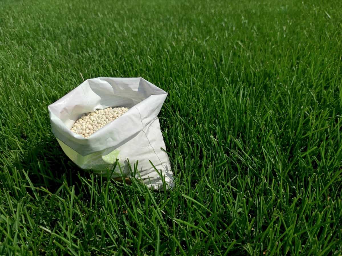 Fertilizer for grass, lawn, meadow 
