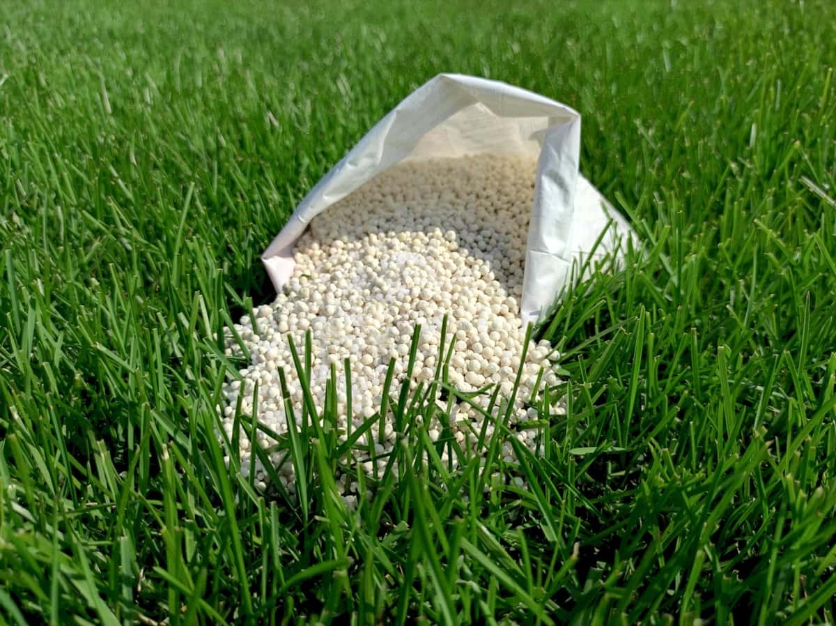 Fertilizer for grass