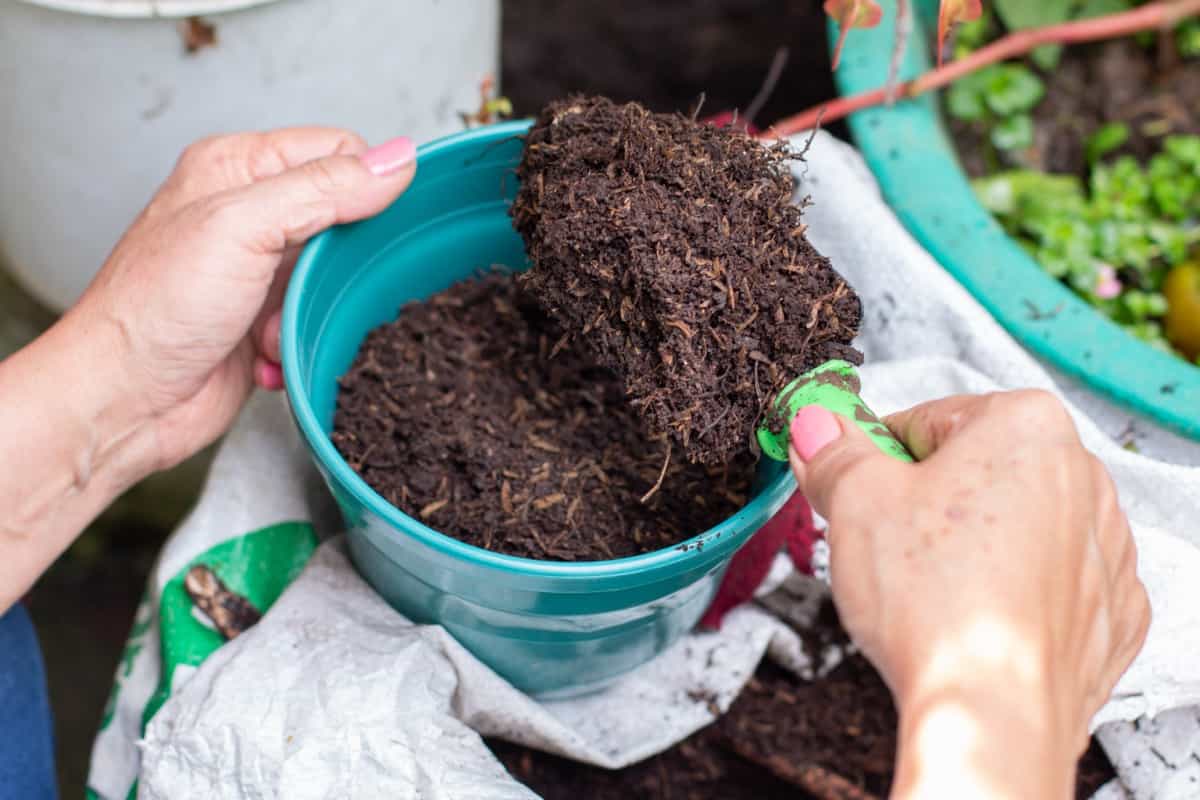Compost for home gardening