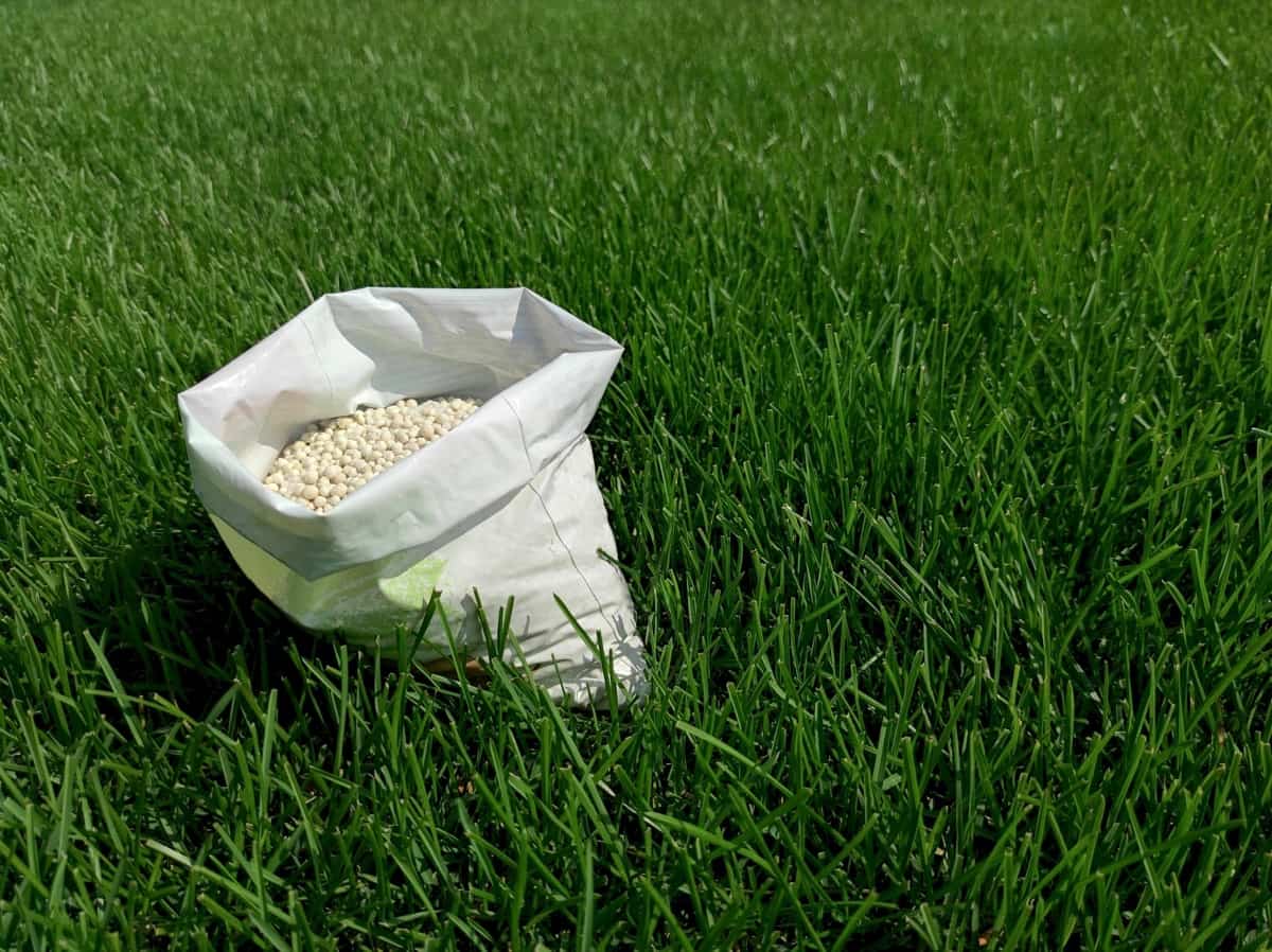 Fertilizers for Lawn Grass F