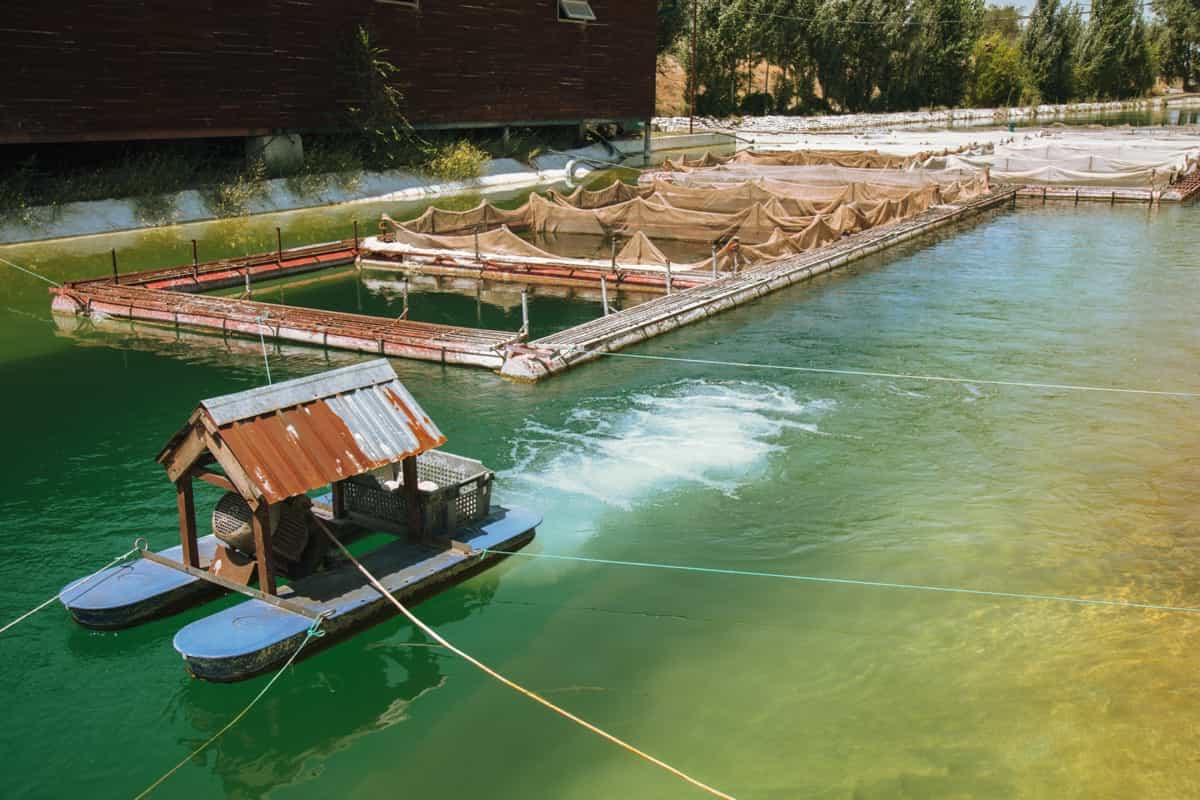 Brackishwater Aquaculture based Integrated Farming2