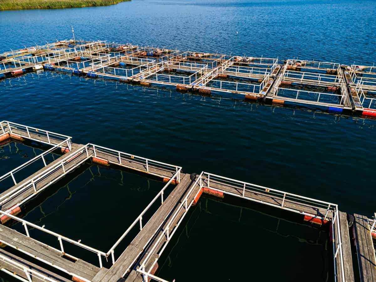 Brackishwater Aquaculture based Integrated Farming3