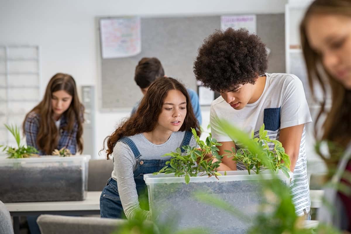 Bringing Hydroponics to the Classroom: Importance and Benefits of Learning for Students