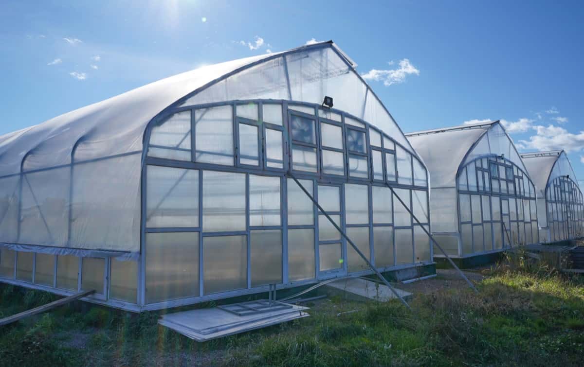 Small Greenhouse Setup