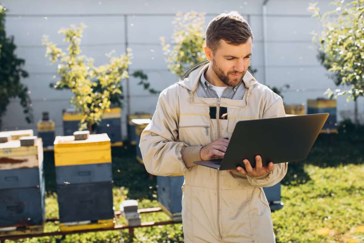 Agronomist Working on Laptop at Bee Farm